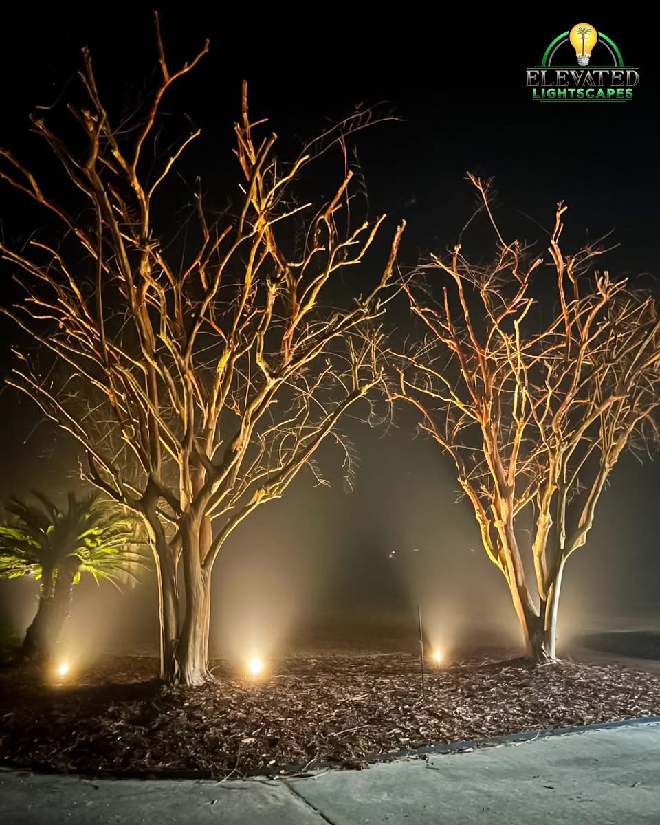 Beautiful Landscape Lighting in Valdosta, Ga