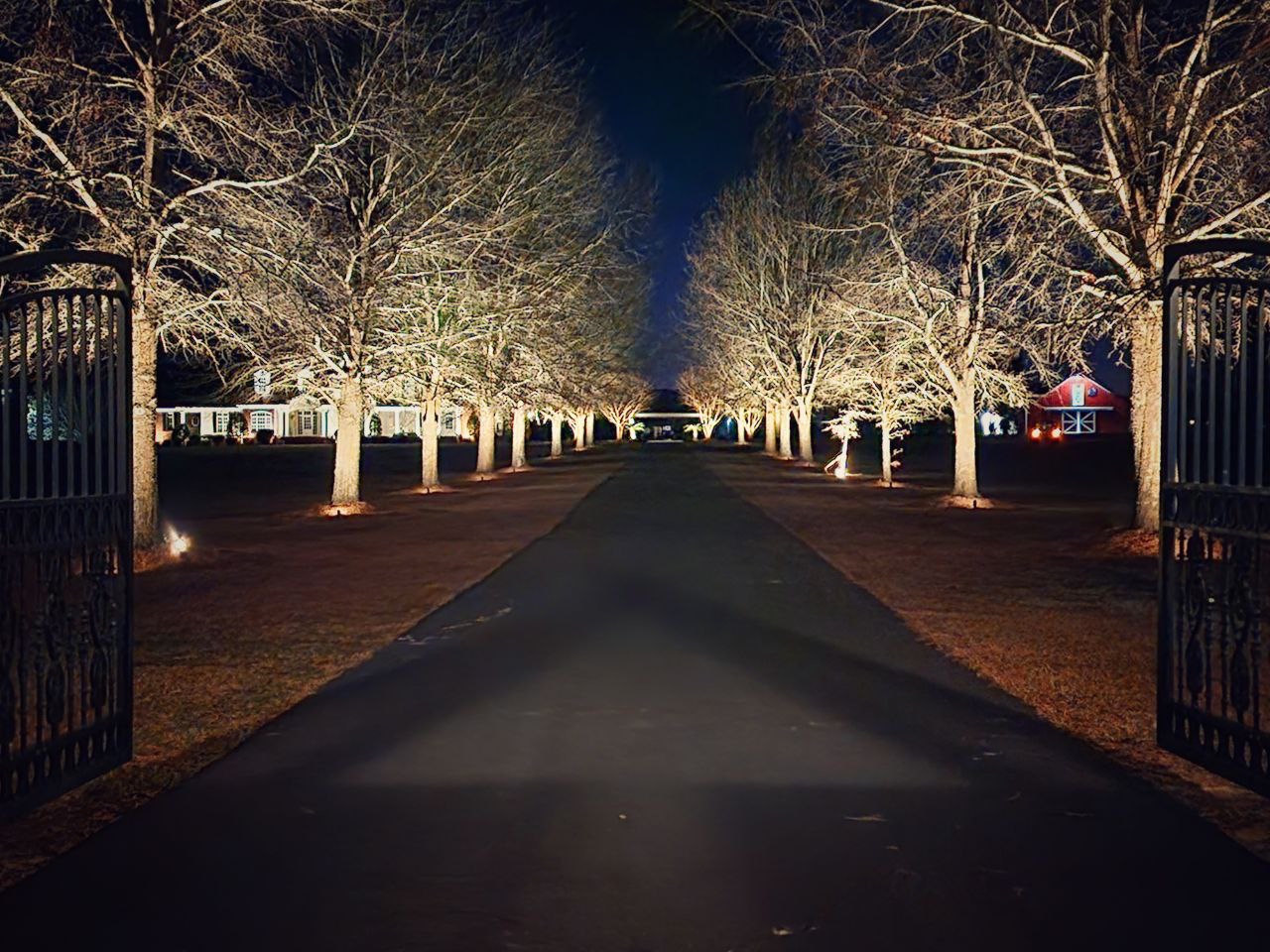 Driveway Landscape Lighting Installation in Valdosta, Ga