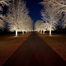 Driveway-Landscape-Lighting-Installation-in-Valdosta-Ga 0