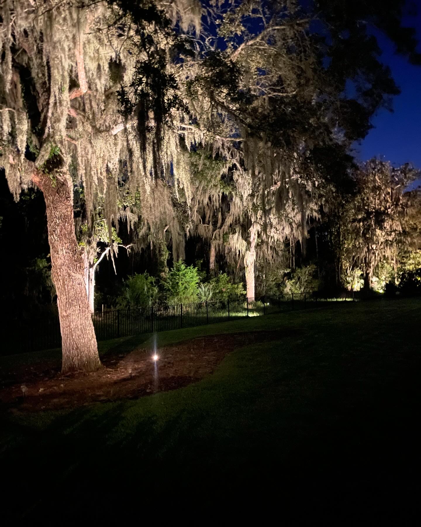 Landscape Lighting Installation in Ponte Verda, Fl