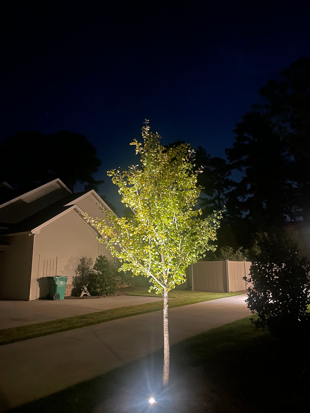 Landscape Lighting Installation in Valdosta Georgia 