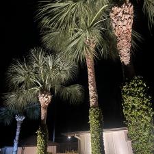 Landscape-Lighting-to-Highlight-Palm-Trees 0